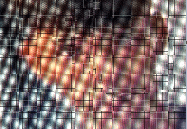 Apel la 112: Un adolescent de 16 ani din județul Arad a dispărut după ce a plecat dintr-o casă de tip familial