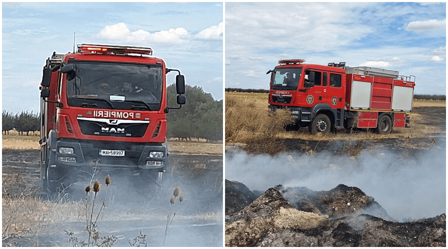 Incendiu masiv de vegetație uscată în Arad, zona Câmpul Liniștii: Pompierii au salvat casele din apropiere
