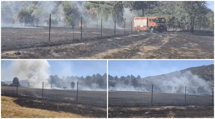 Intervenții multiple ale pompierilor arădeni: zeci de cazuri SMURD, incendii de vegetație și o bombă din Al 2-lea Război Mondial