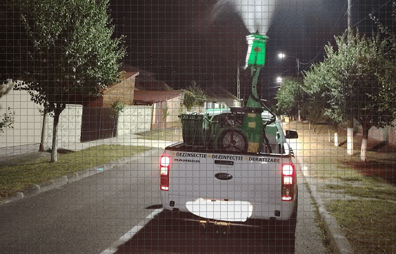 Acțiune de dezinsecție în municipiul Arad