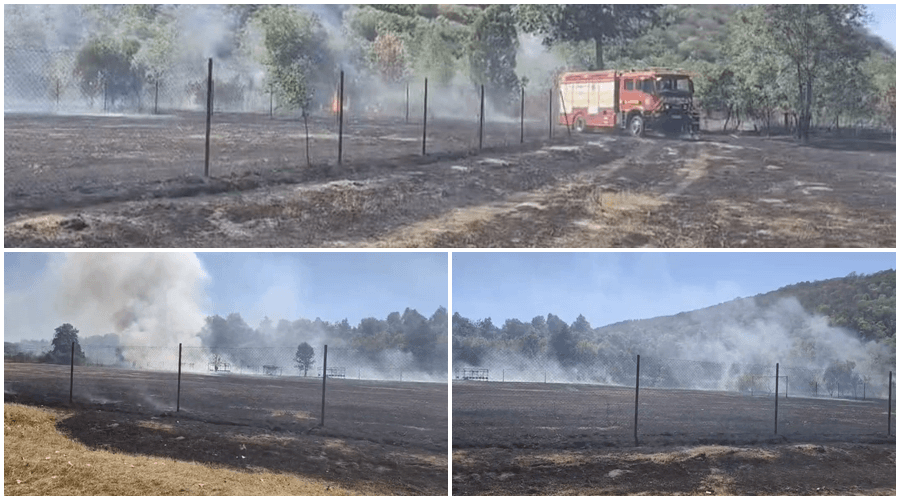 Incendiu violent în Sebiș: Flăcările au amenințat locuințe și terenul de sport pe o suprafață de două hectare