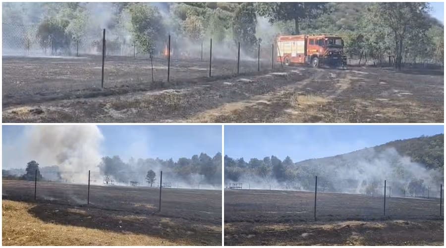 27 de intervenții ale pompierilor arădeni în ultimele 24 de ore: Incendii de vegetație uscată și avertismente privind sancțiunile