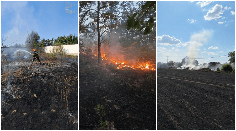 121 de urgențe în doar 3 zile: Weekend de foc pentru pompierii arădeni, cu 30 de hectare pârjolite