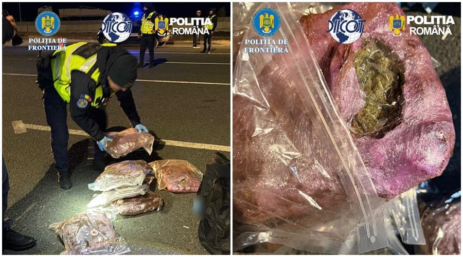 „Start-up” de la Nădlac: A venit din Spania cu 7 kg de canabis și s-a ales cu cazare de 30 de zile la Arad